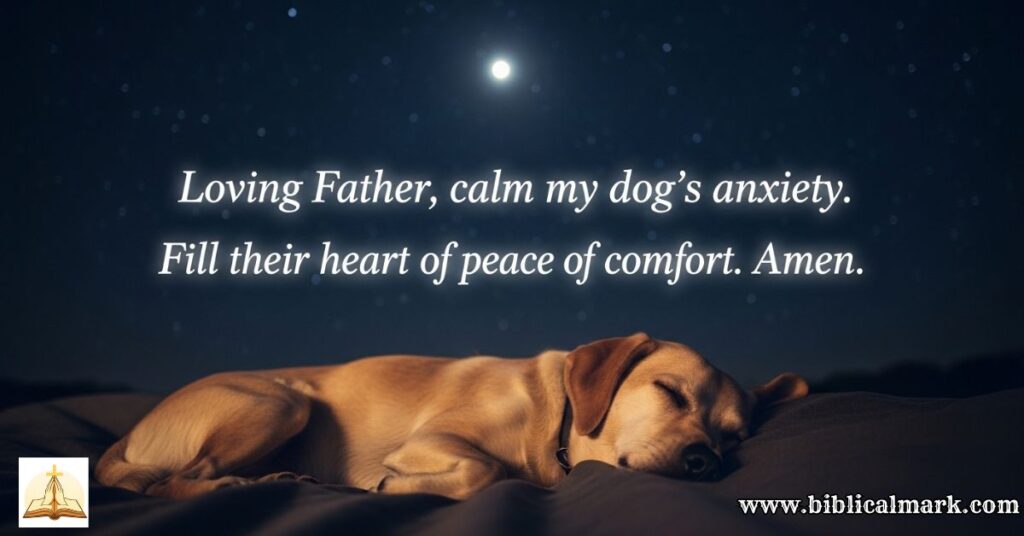 30 Powerful Prayers For Dogs 1