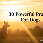 30 Powerful Prayers For Dogs