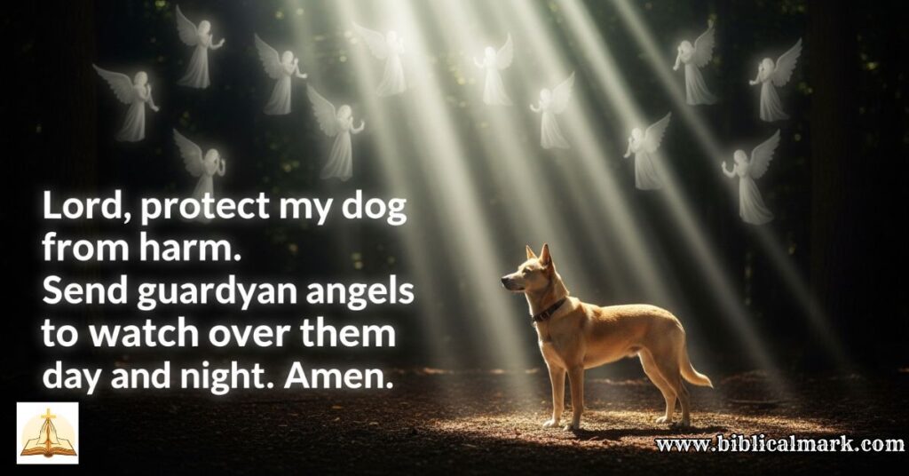 30 Powerful Prayers For Dogs 2