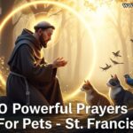 30 Powerful Prayers For Pets St. Francis Inspired