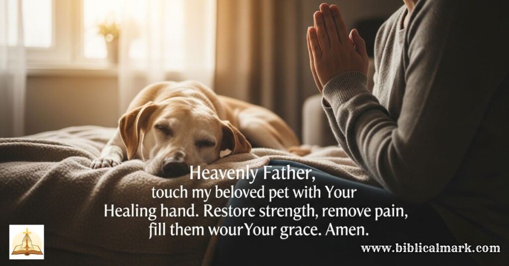 30 Powerful Prayers For Pets St. Francis Inspired 3