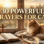 30 Powerful Prayer for Cat