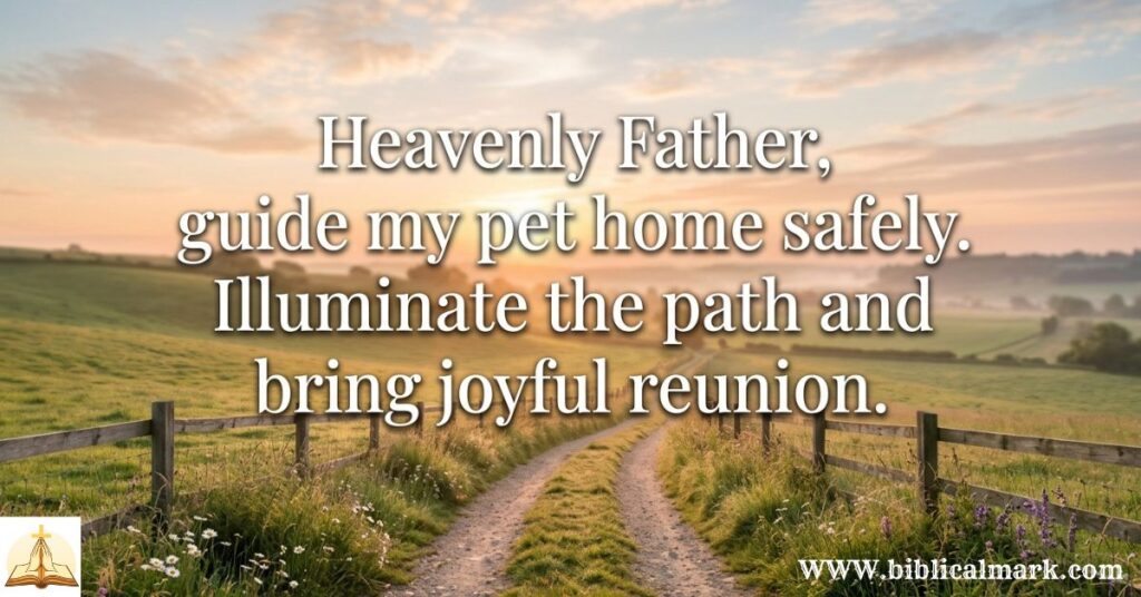 30+ Powerful Prayer for Lost Pet 3