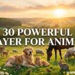 30 Powerful Prayer for Animals