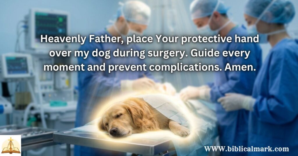30 Powerful Prayer for Dog Surgery 1