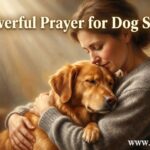 30 Powerful Prayer for Dog Surgery