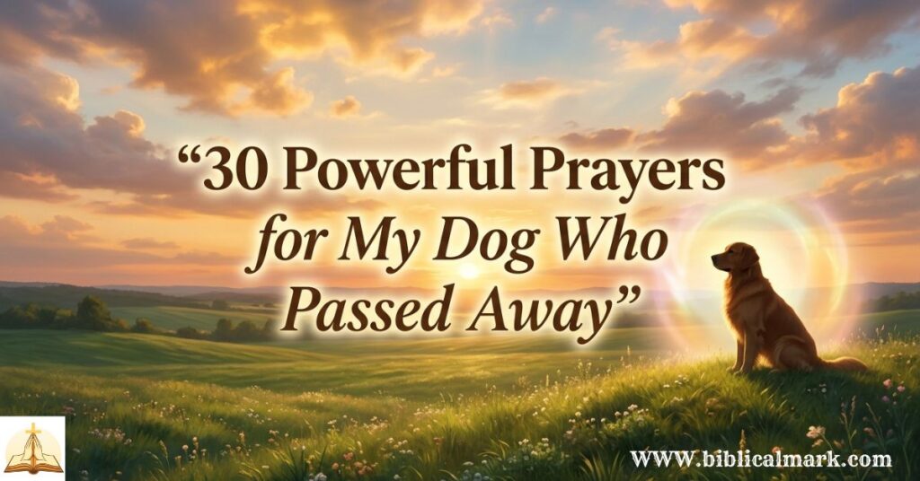 30 Powerful Prayer for My Dog Who Passed Away