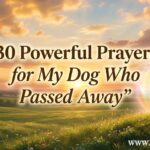 30 Powerful Prayer for My Dog Who Passed Away
