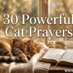 30 Powerful Cat Prayers