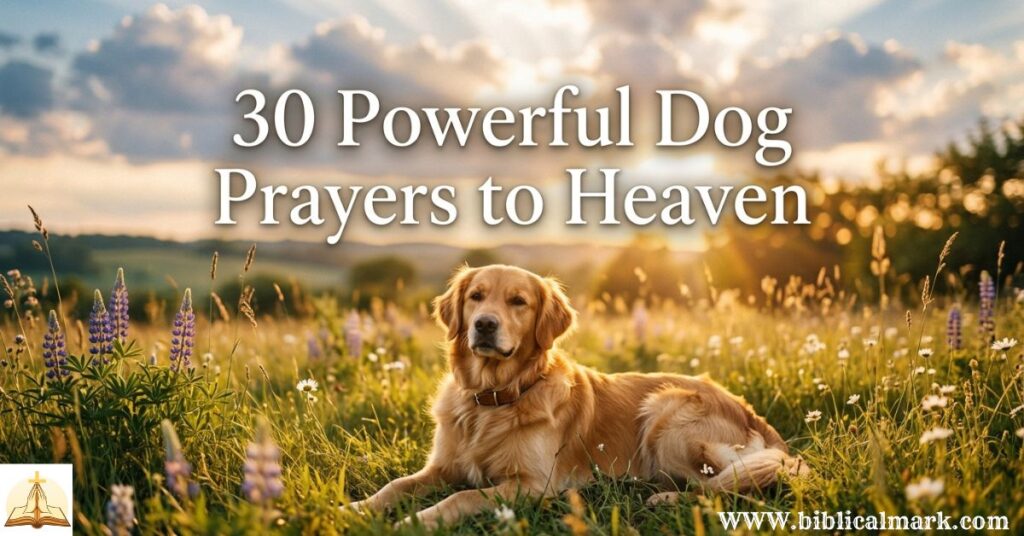 30 Powerful Dog Prayers to Heaven