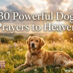 30 Powerful Dog Prayers to Heaven
